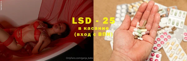 прущие грибы Майский