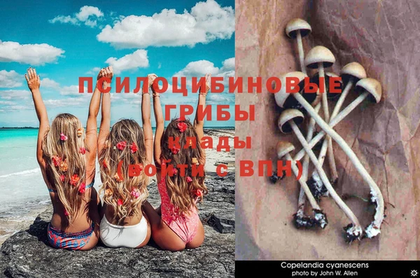 MDMA Premium VHQ Магадан