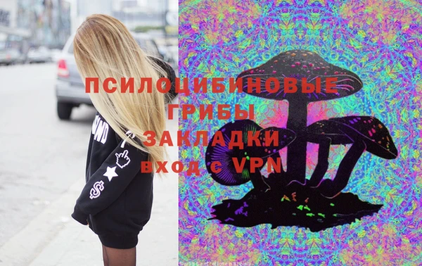 эйфоретик Магас