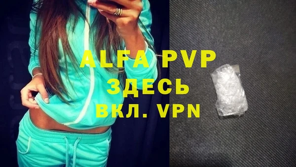 прущие грибы Майский