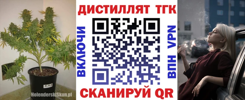 Дистиллят ТГК Wax  Купить закладки  Подпорожье 