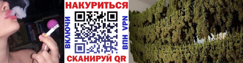 Купить закладки  Подпорожье  Конопля индика 